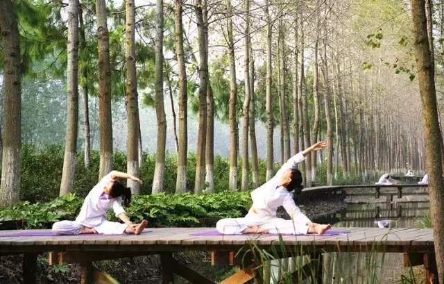 开云电子·kaiyun(中国游)官方网站
